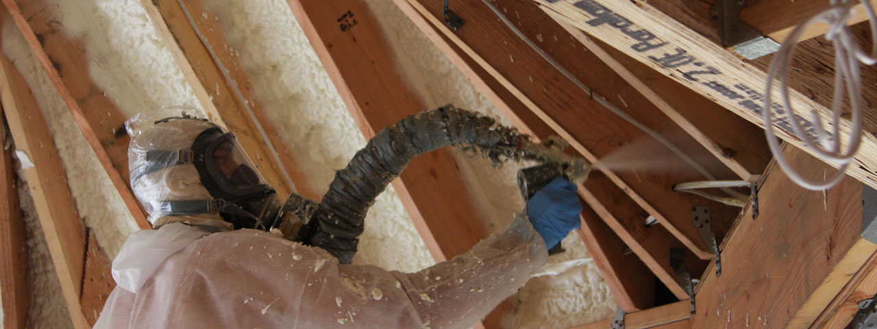 Nevada Attic Insulation Spray Foam Nevada Attic Insulation Spray Foam